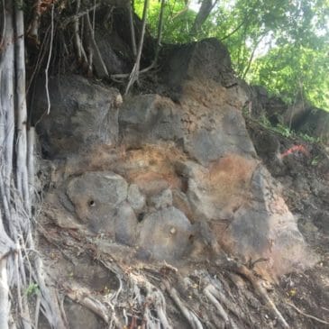 Rockslide Mitigative Improvements on Alencastre & Dole
